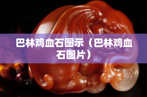 巴林雞血石圖示(巴林雞血石圖片) 巴林雞血石圖示(巴林雞血石圖片)