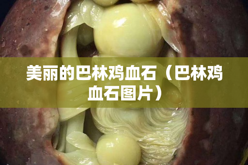 美麗的巴林雞血石（巴林雞血石圖片）