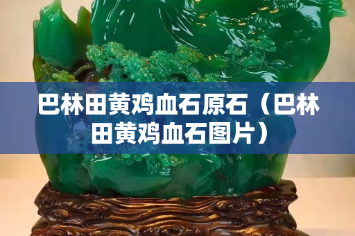 巴林田黃雞血石原石（巴林田黃雞血石圖片）