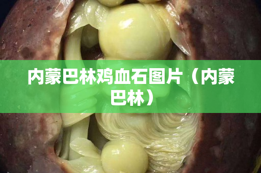 內蒙巴林雞血石圖片（內蒙巴林）