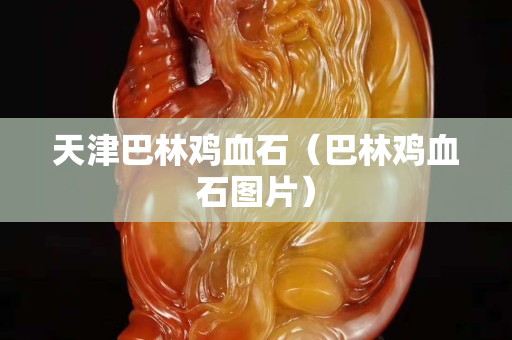 天津巴林雞血石(巴林雞血石圖片) 天津巴林雞血石(巴林雞血石圖片)