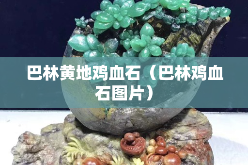 巴林黃地雞血石（巴林雞血石圖片）