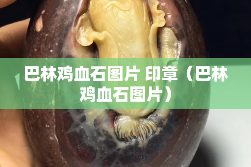 巴林雞血石圖片 印章（巴林雞血石圖片）