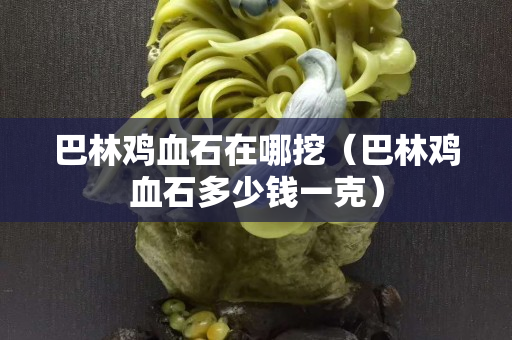 巴林雞血石在哪挖（巴林雞血石多少錢一克）