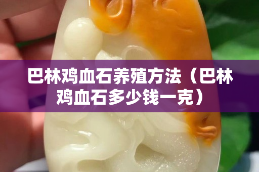 巴林雞血石養殖方法（巴林雞血石多少錢一克）