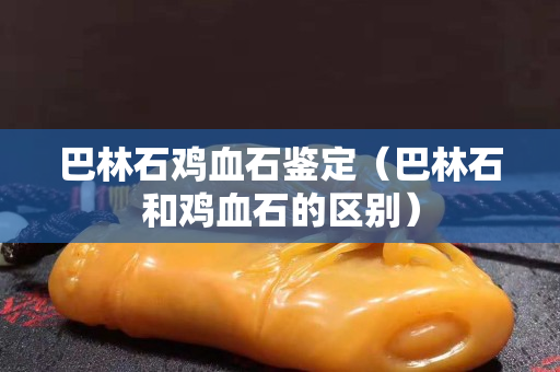 巴林石雞血石鑒定（巴林石和雞血石的區(qū)別）