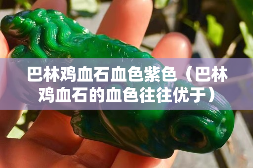 巴林雞血石血色紫色(巴林雞血石的血色往往優于) 巴林雞血石血色紫色(巴林雞血石的血色往往優于)