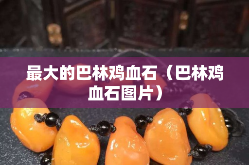 最大的巴林雞血石（巴林雞血石圖片）
