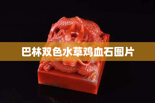 巴林雙色水草雞血石圖片 巴林雙色水草雞血石圖片