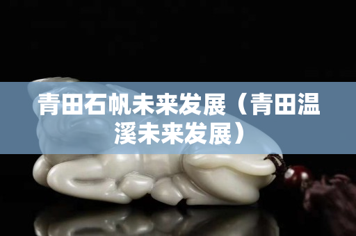 青田石帆未來發(fā)展（青田溫溪未來發(fā)展）