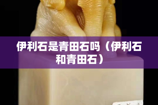 伊利石是青田石嗎（伊利石和青田石）