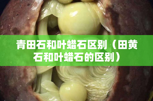 青田石和葉蠟石區(qū)別（田黃石和葉蠟石的區(qū)別）