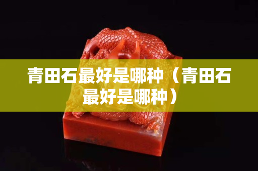 青田石最好是哪種(青田石最好是哪種) 青田石最好是哪種(青田石最好是哪種)
