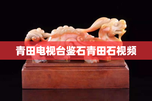 青田電視臺鑒石青田石視頻