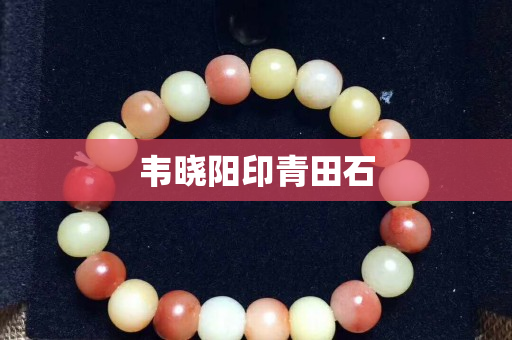 韋曉陽印青田石