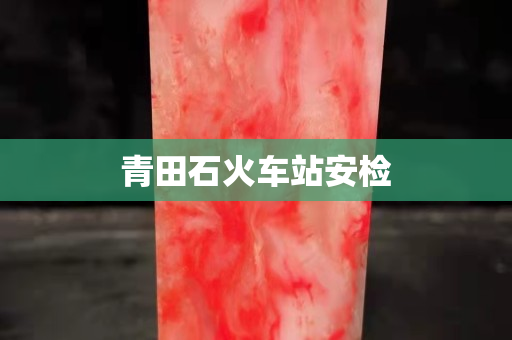 青田石火車站安檢 青田石火車站安檢