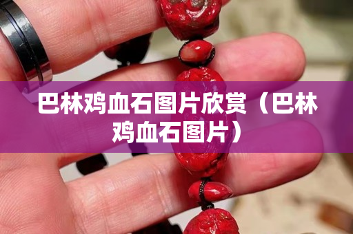 巴林雞血石圖片欣賞(巴林雞血石圖片) 巴林雞血石圖片欣賞(巴林雞血石圖片)