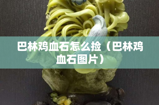 巴林雞血石怎么撿(巴林雞血石圖片) 巴林雞血石怎么撿(巴林雞血石圖片)