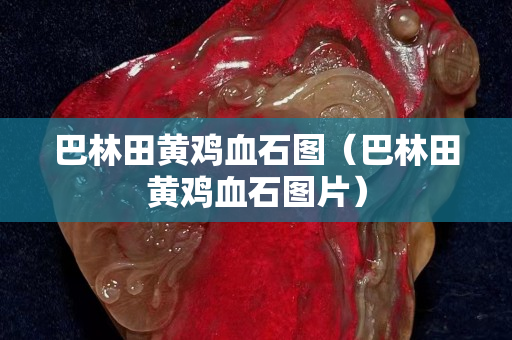巴林田黃雞血石圖(巴林田黃雞血石圖片) 巴林田黃雞血石圖(巴林田黃雞血石圖片)