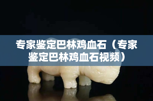 專家鑒定巴林雞血石（專家鑒定巴林雞血石視頻）