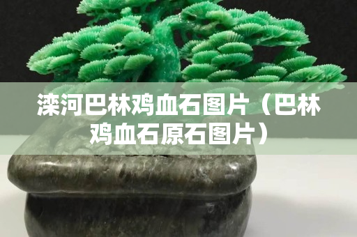 灤河巴林雞血石圖片(巴林雞血石原石圖片) 灤河巴林雞血石圖片(巴林雞血石原石圖片)