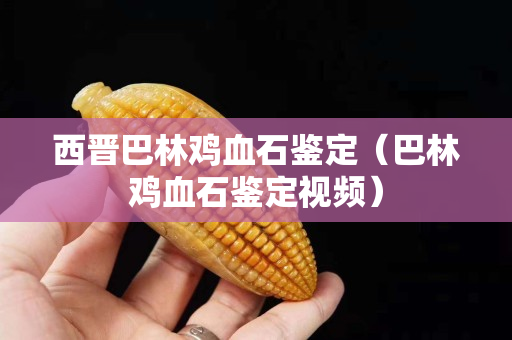 西晉巴林雞血石鑒定(巴林雞血石鑒定視頻) 西晉巴林雞血石鑒定(巴林雞血石鑒定視頻)