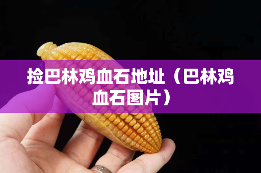 撿巴林雞血石地址（巴林雞血石圖片）