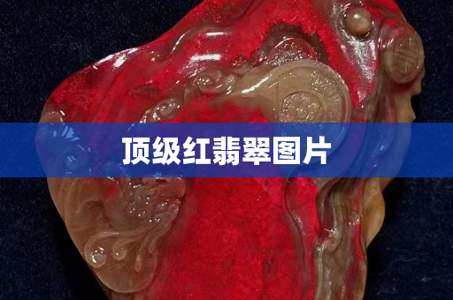 頂級(jí)紅翡翠圖片
