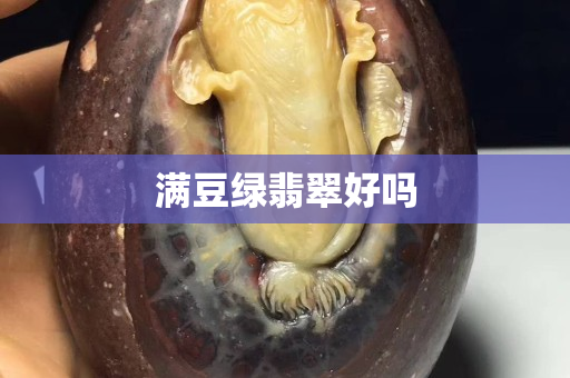 滿豆綠翡翠好嗎