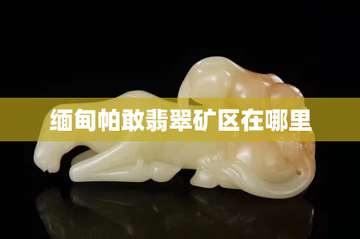 緬甸帕敢翡翠礦區在哪里