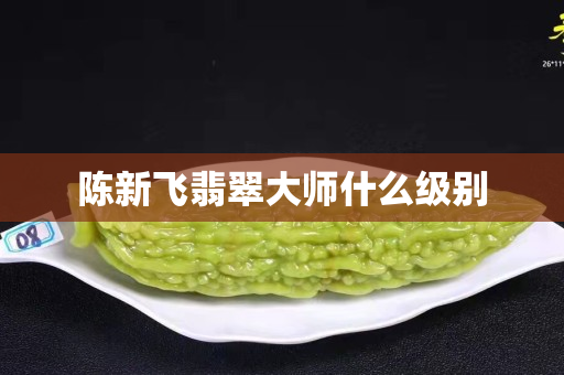 陳新飛翡翠大師什么級別