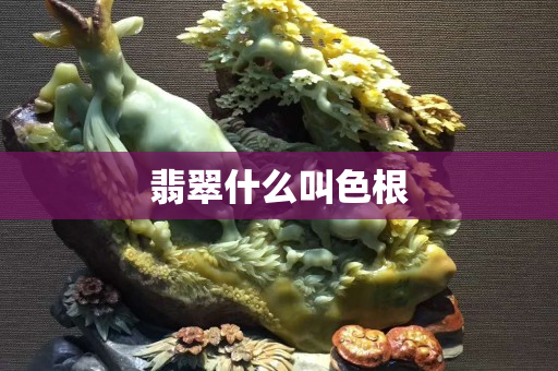 翡翠什么叫色根