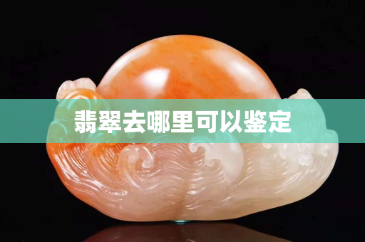 翡翠去哪里可以鑒定