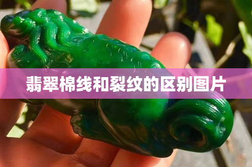 翡翠棉線和裂紋的區別圖片