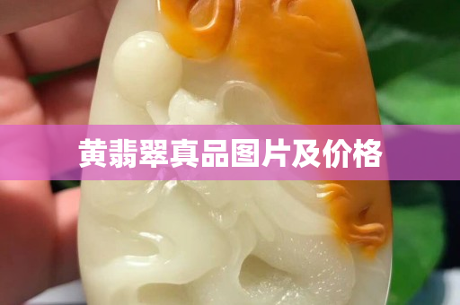 黃翡翠真品圖片及價格 黃翡翠真品圖片及價格
