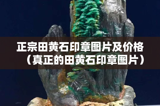 正宗田黃石印章圖片及價格（真正的田黃石印章圖片）