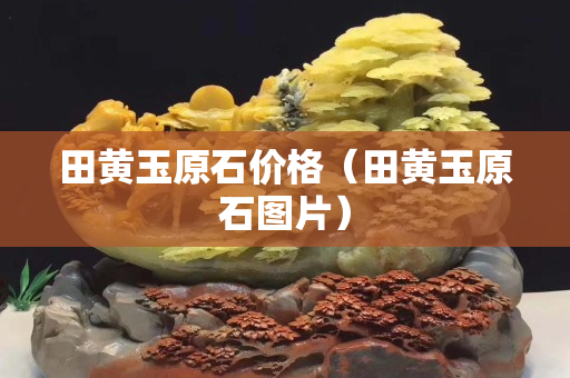田黃玉原石價格（田黃玉原石圖片）