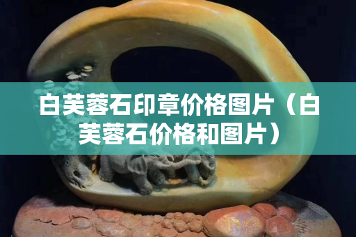 白芙蓉石印章價格圖片（白芙蓉石價格和圖片）
