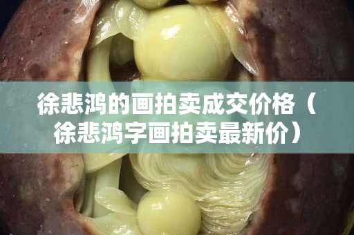 徐悲鴻的畫拍賣成交價格（徐悲鴻字畫拍賣最新價）