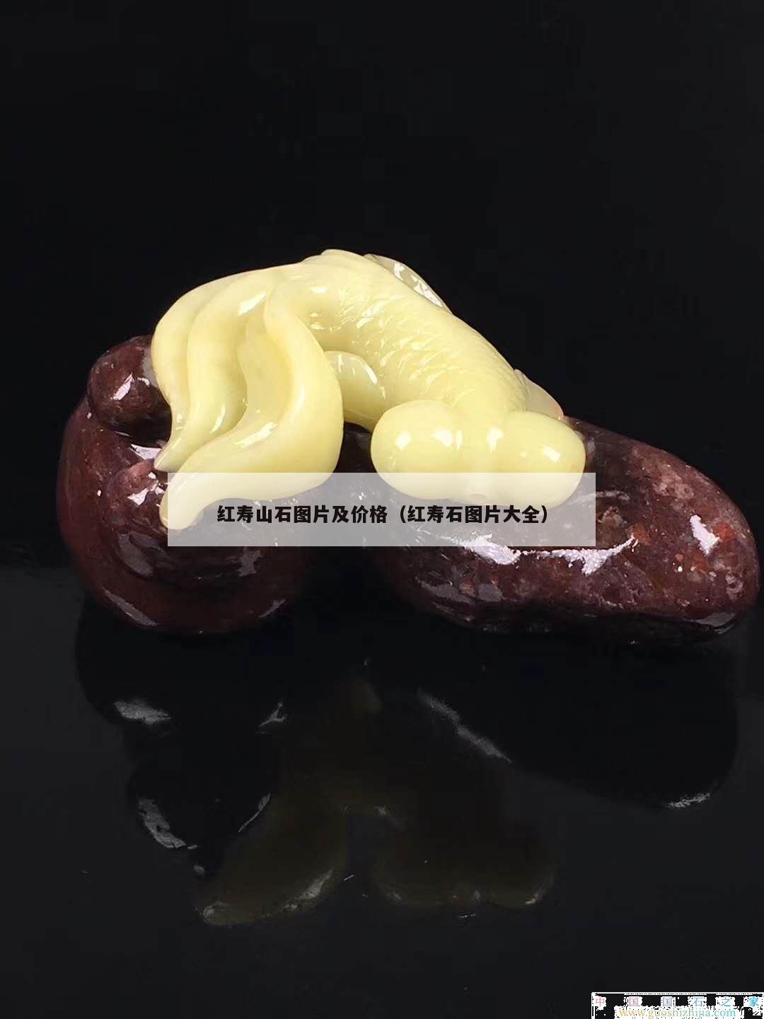 紅壽山石圖片及價(jià)格（紅壽石圖片大全）