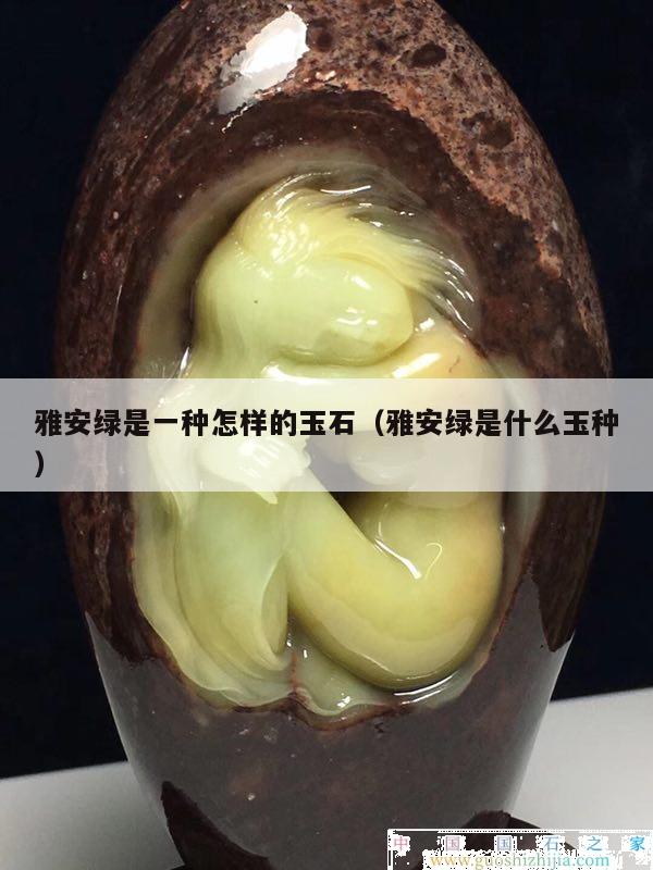 雅安綠是一種怎樣的玉石（雅安綠是什么玉種）