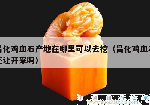 昌化雞血石產(chǎn)地在哪里可以去挖（昌化雞血石還讓開采嗎）