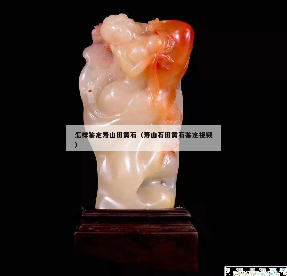 怎樣鑒定壽山田黃石（壽山石田黃石鑒定視頻）