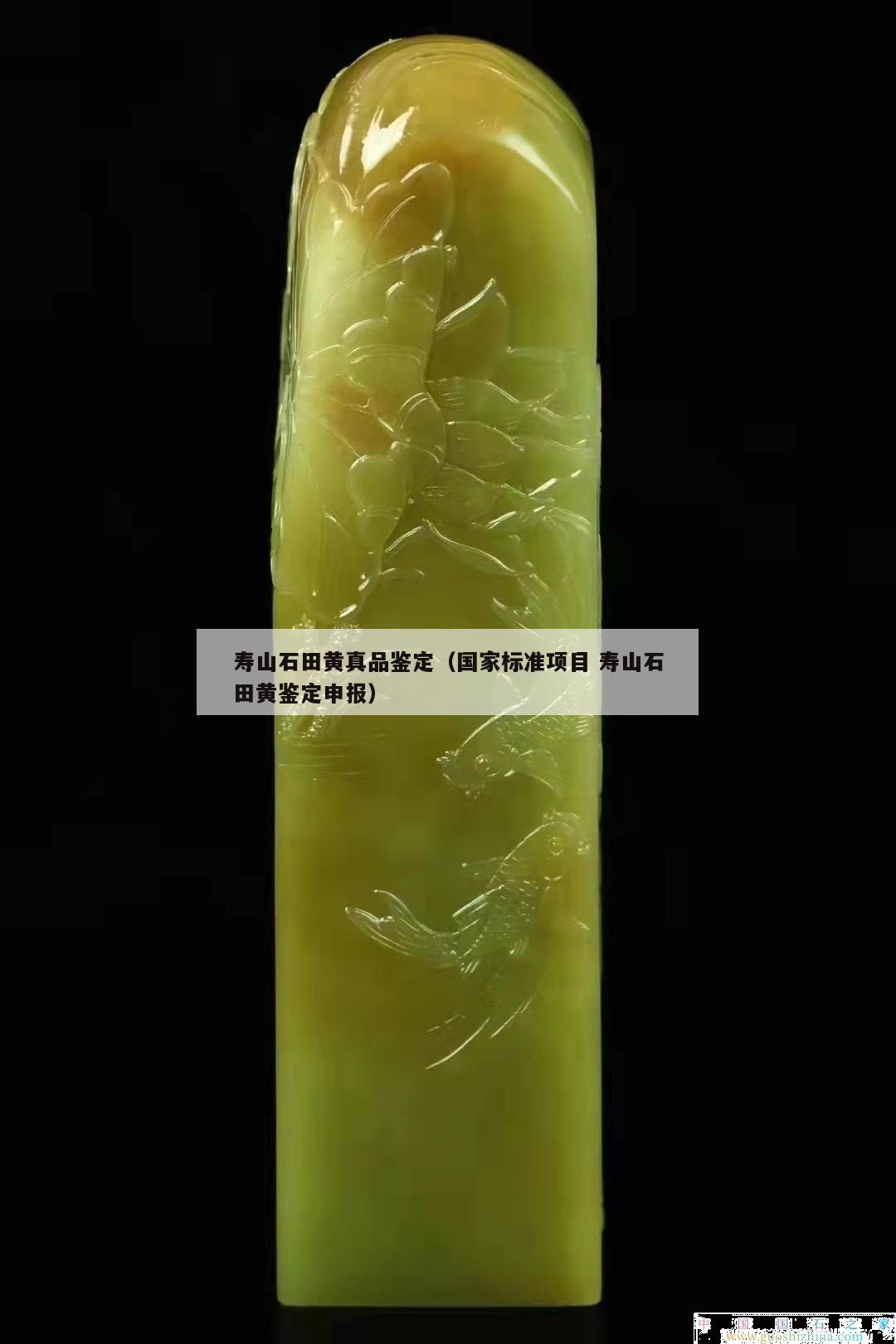 壽山石田黃真品鑒定（國家標(biāo)準(zhǔn)項(xiàng)目 壽山石田黃鑒定申報(bào)）