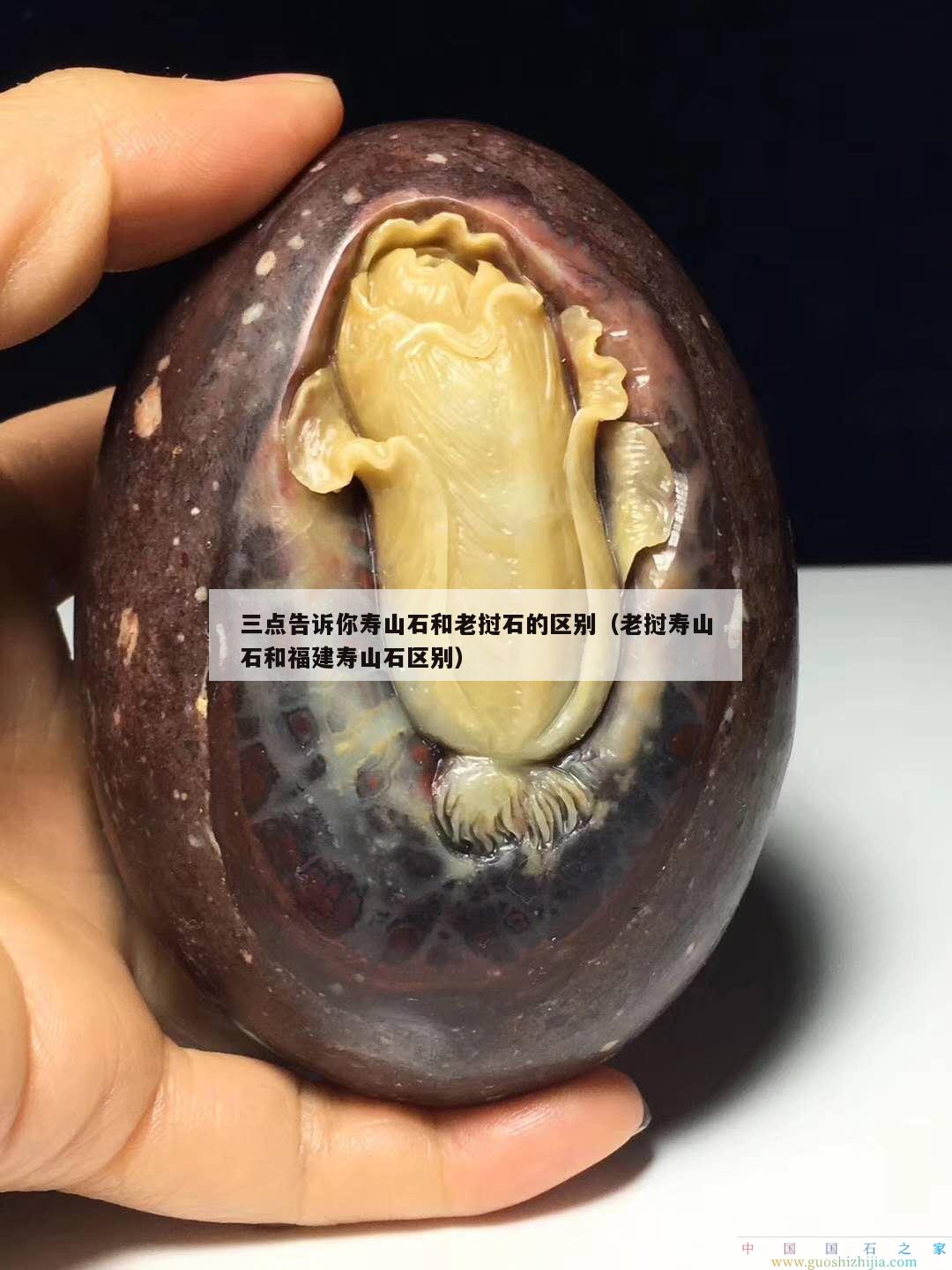 三點告訴你壽山石和老撾石的區別（老撾壽山石和福建壽山石區別）