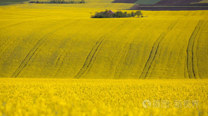 田黃石的價格到底是多少？一克多少錢？還有白送的優(yōu)惠？