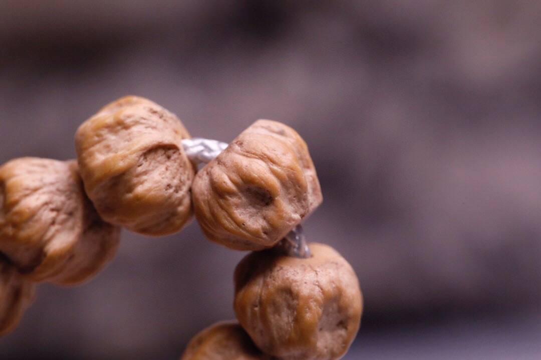 2024你還知道鬼臉百香籽嗎?欣賞下 2024你還知道鬼臉百香籽嗎?欣賞下