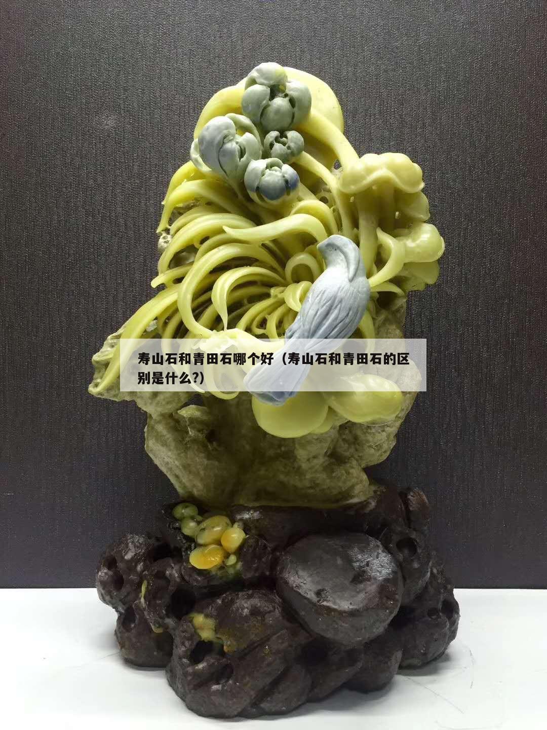 壽山石和青田石哪個好（壽山石和青田石的區別是什么?）